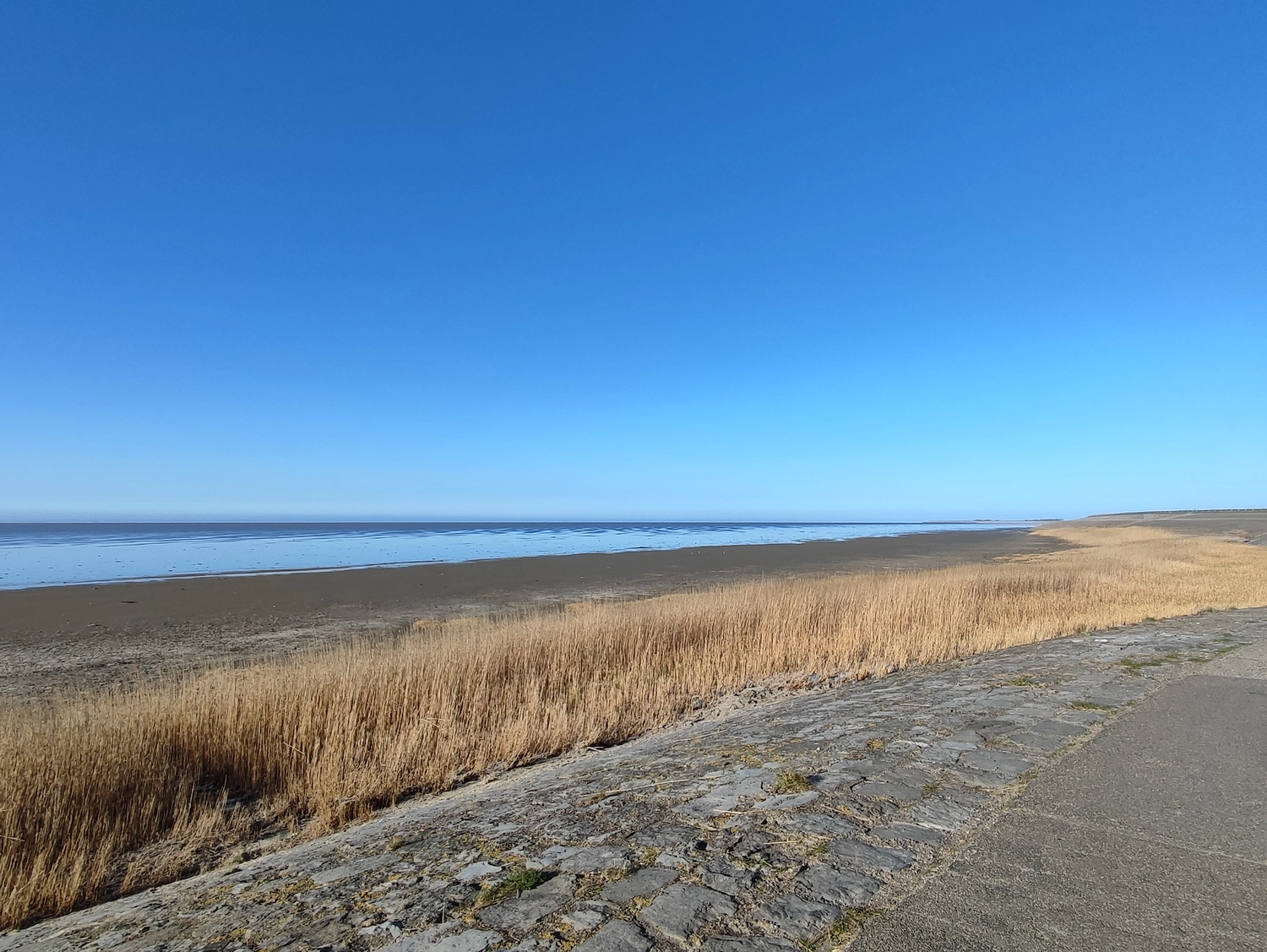 Meer-Verliebt – Chalets in Nordholland - Meerverliebt, Meerblick
