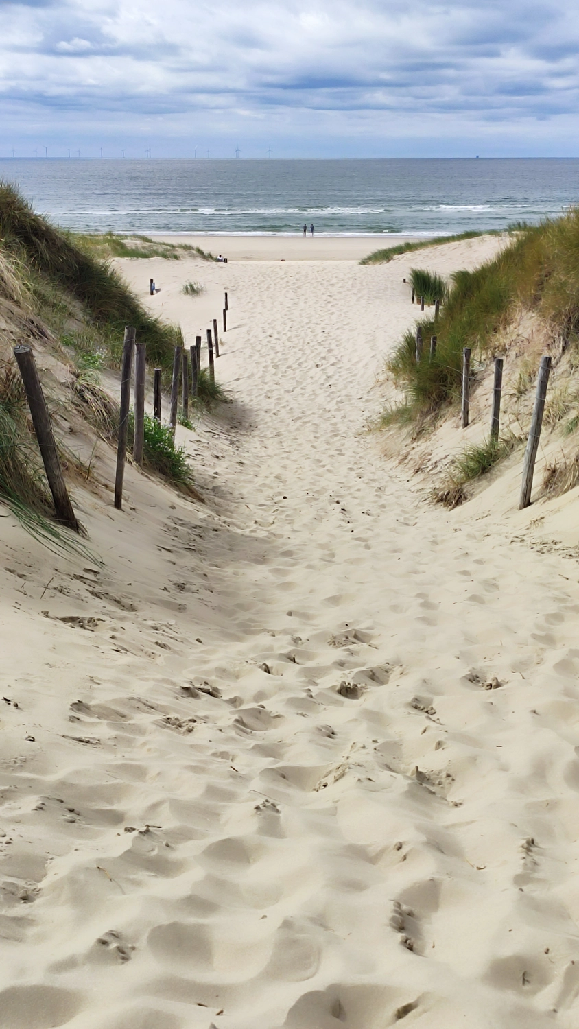 Meer-Verliebt – Chalets in Nordholland - Strandperle, Blick auf den Strand