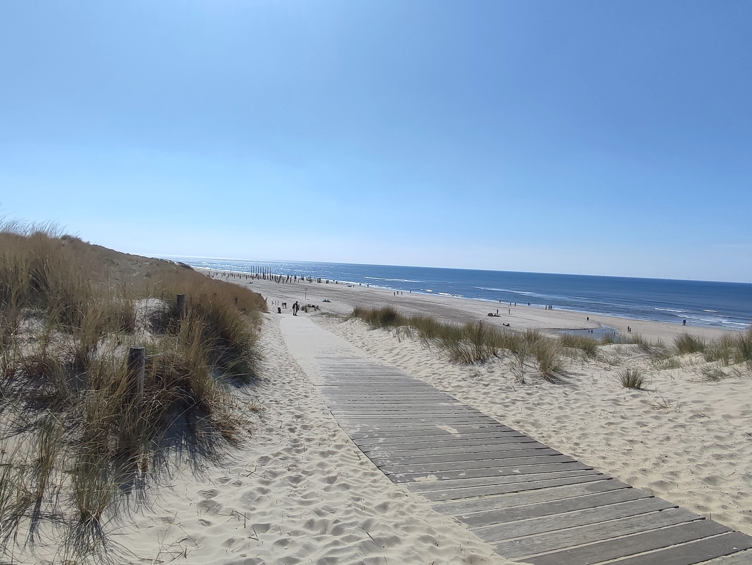 Meer-Verliebt – Chalets in Nordholland - Strandperle, Blick auf den Strand