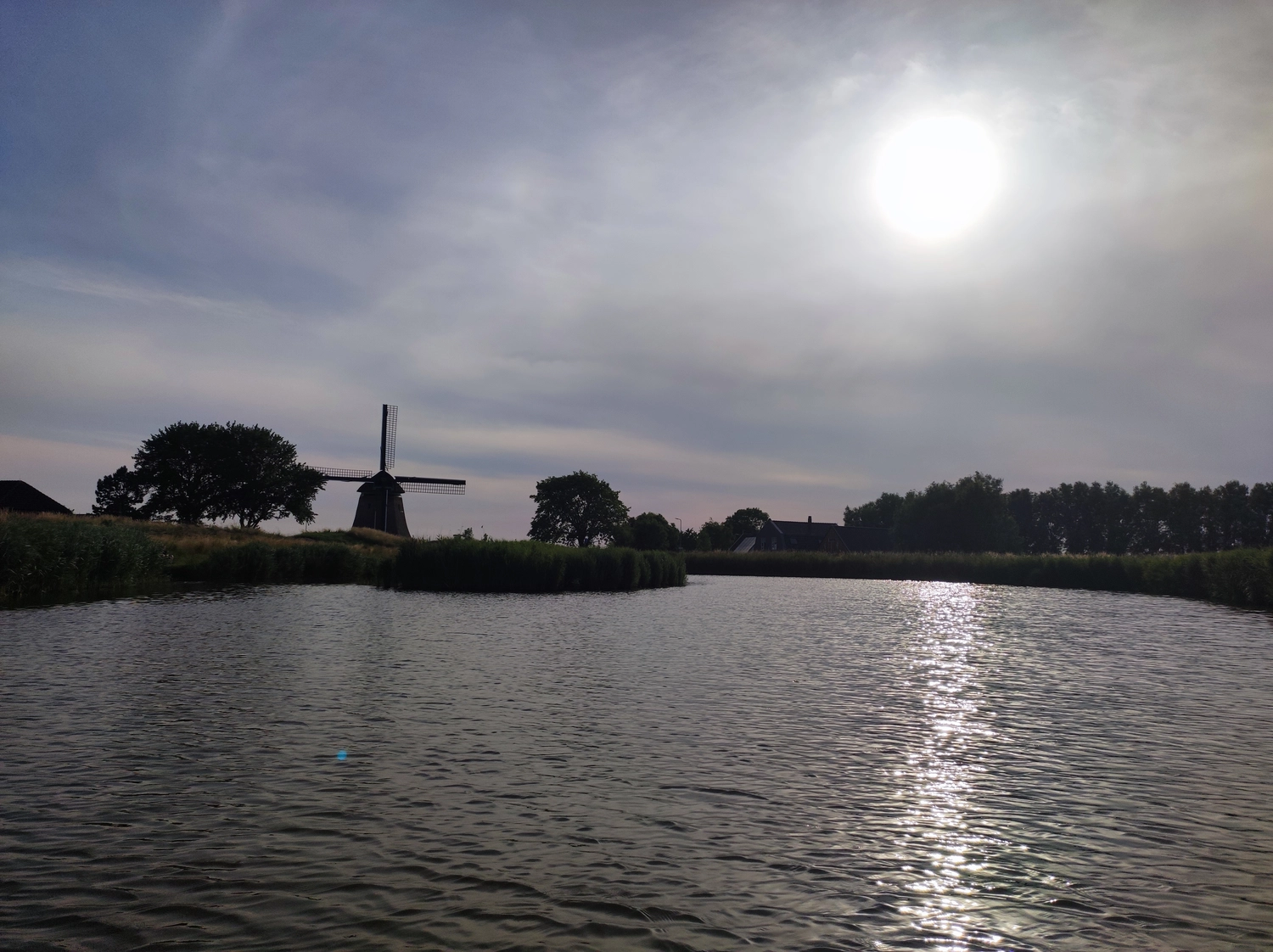 Meer-Verliebt – Chalets in Nordholland - Seemöwe, Meerblick