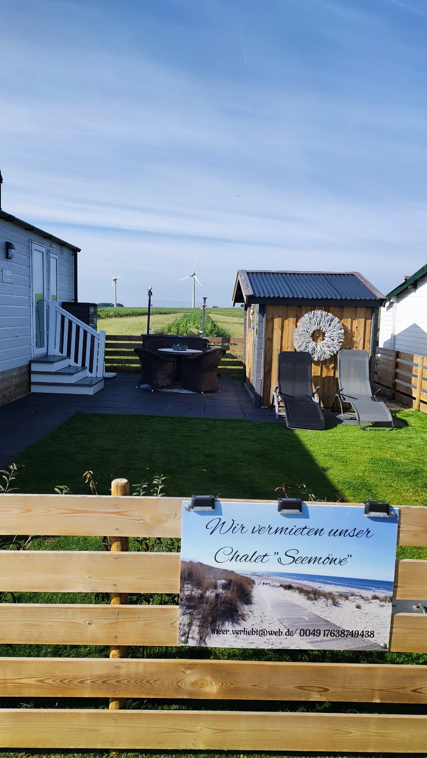 Meer-Verliebt – Chalets in Nordholland - Seemöwe