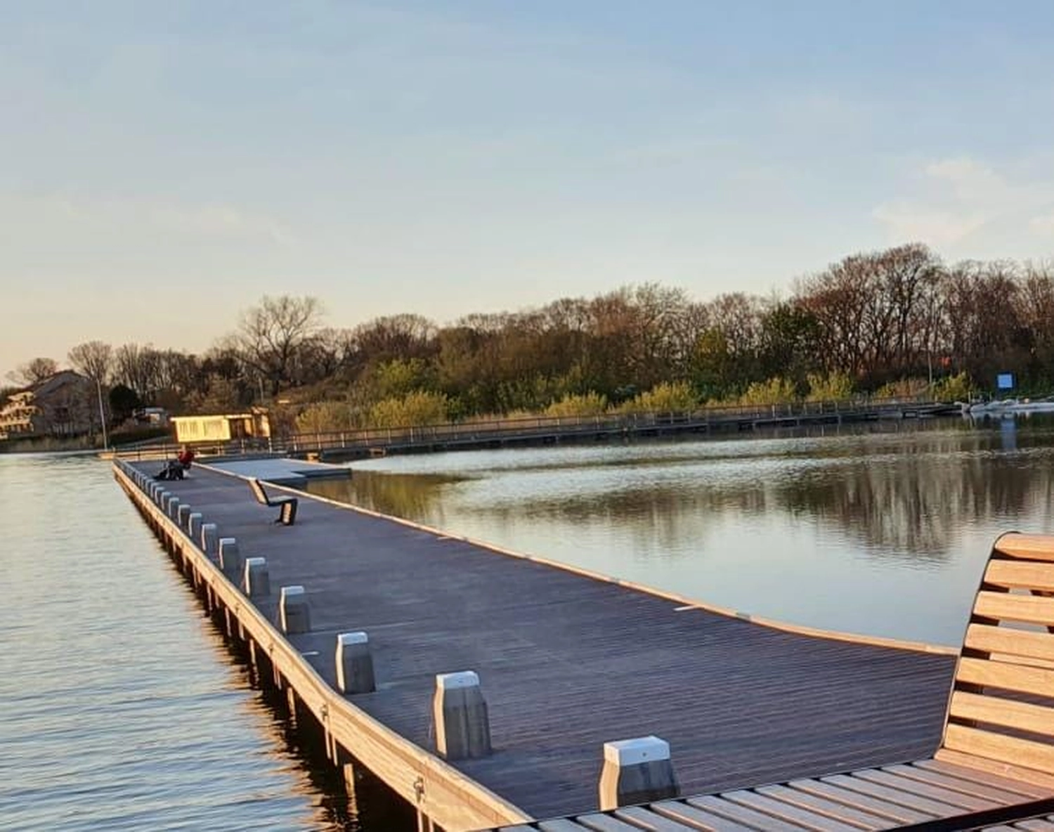 Meer-Verliebt – Chalets in Nordholland - Seemöwe, Meerblick