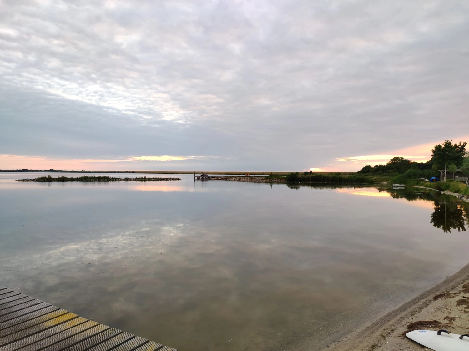 Meer-Verliebt – Chalets in Nordholland - Seemöwe, Meerblick