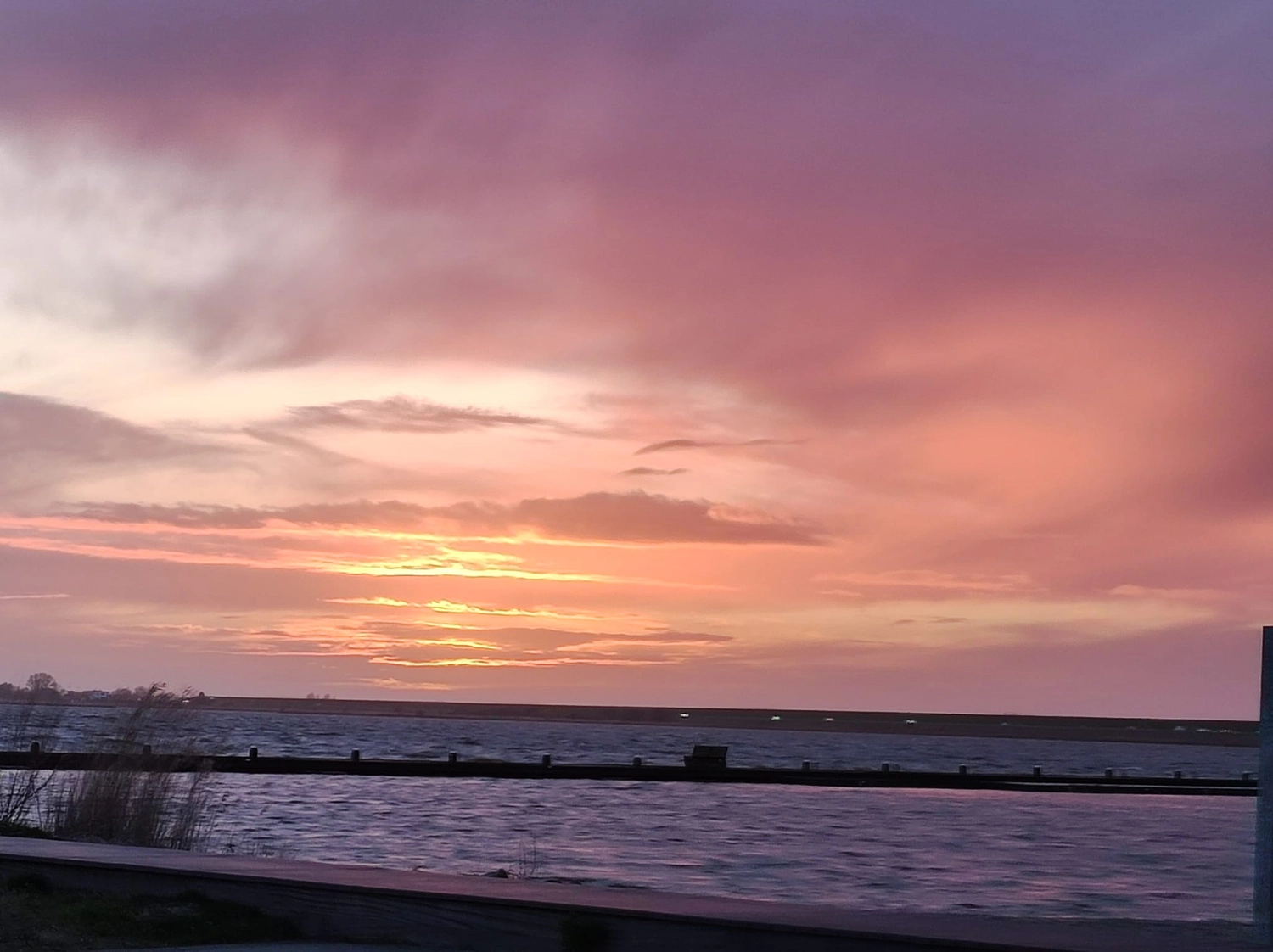 Meer-Verliebt – Chalets in Nordholland - Seemöwe, Meerblick