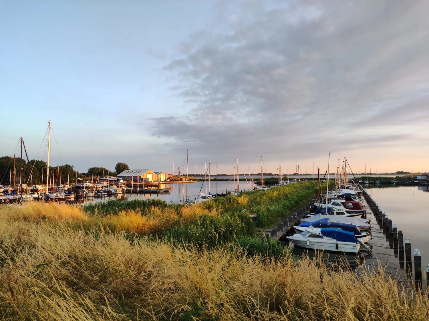 Meer-Verliebt – Chalets in Nordholland - Seemöwe, Meerblick