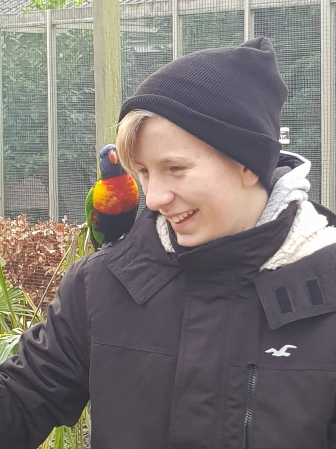 Meer-Verliebt – Chalets in Nordholland - Tierpark Hoenderdaell, Papagei auf einem Jungen