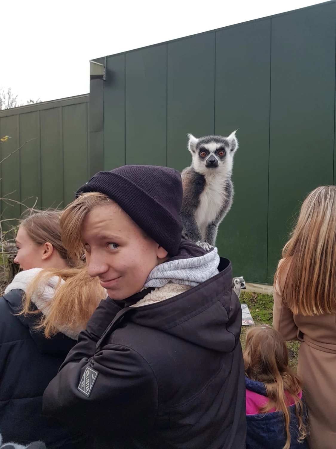 Meer-Verliebt – Chalets in Nordholland - Tierpark Hoenderdaell, Parktier mit Tieren