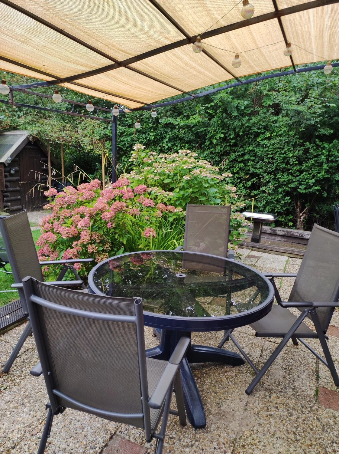 Meer-Verliebt – Chalets in Nordholland - Lieblingsplatz