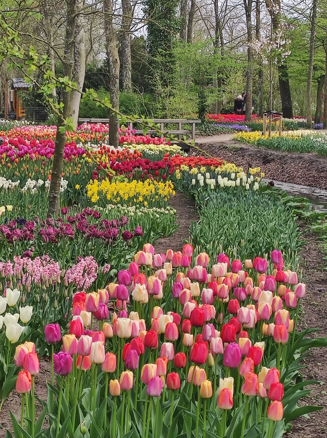 Meer-Verliebt – Chalets in Nordholland - Blumen