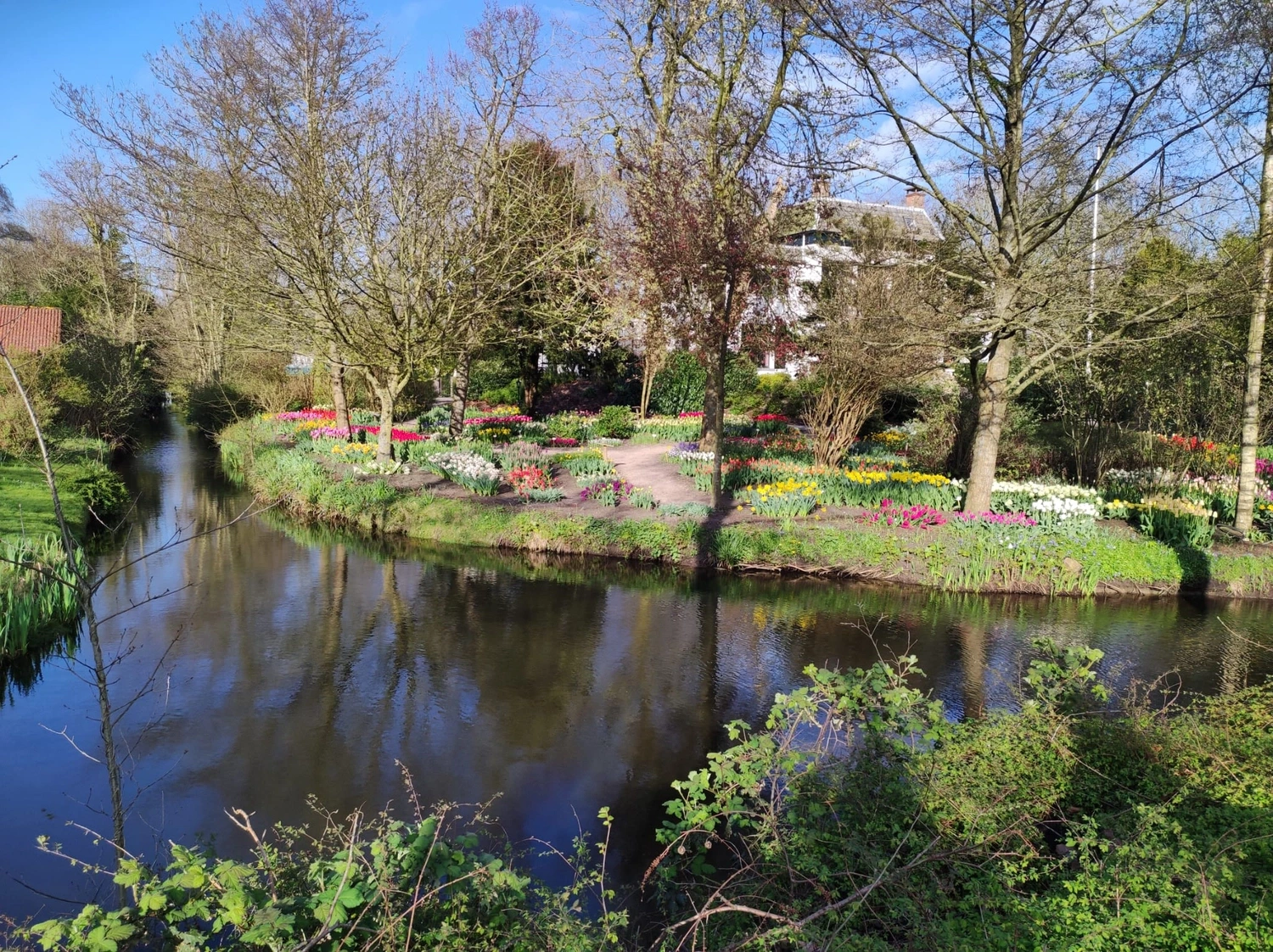 Meer-Verliebt – Chalets in Nordholland - Blumen am See